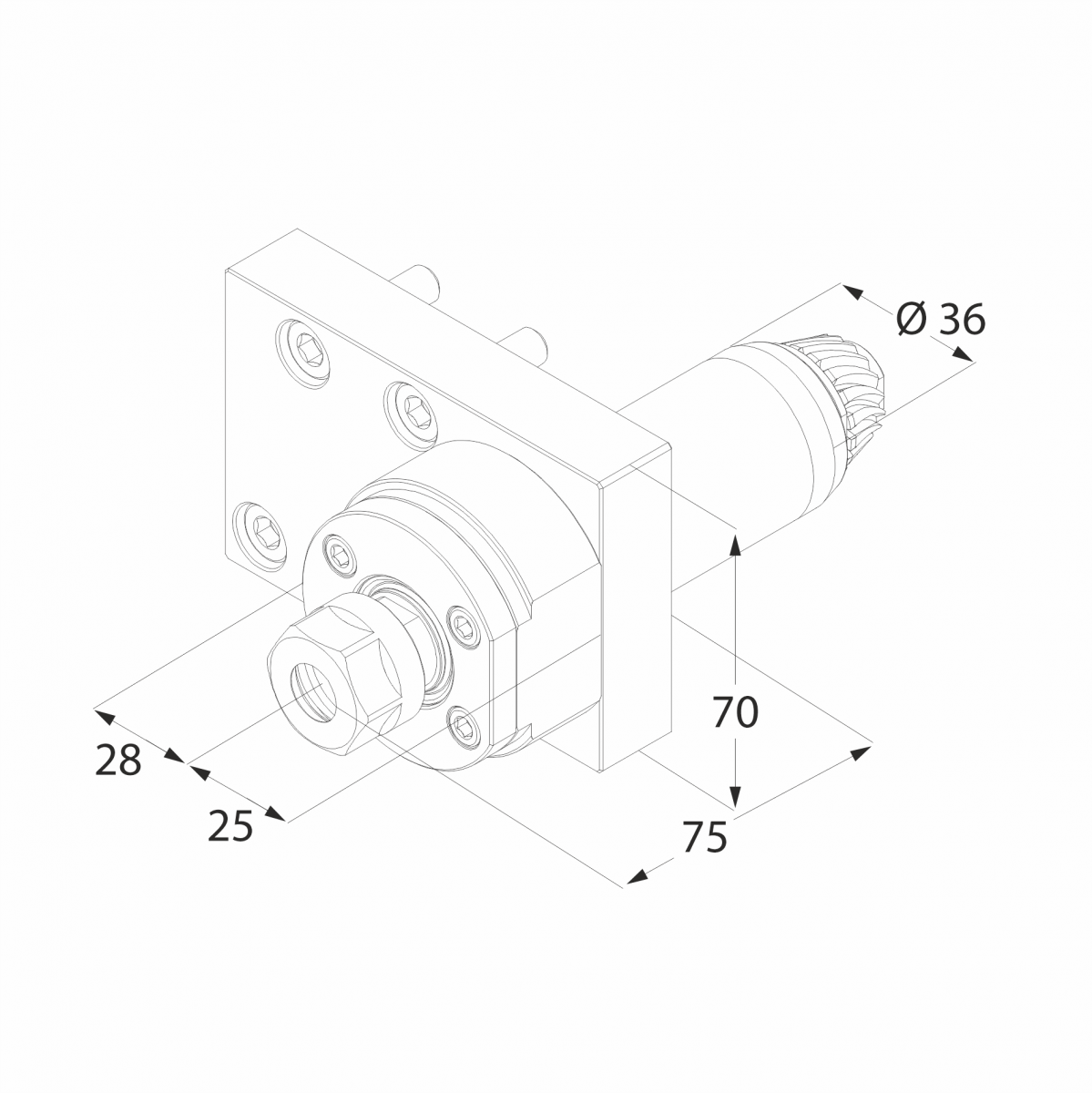 CTMC116302